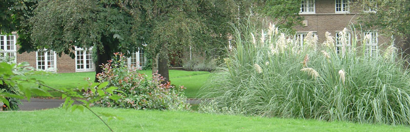 ArchiCAD Encounter in the Garden