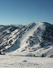 Red run